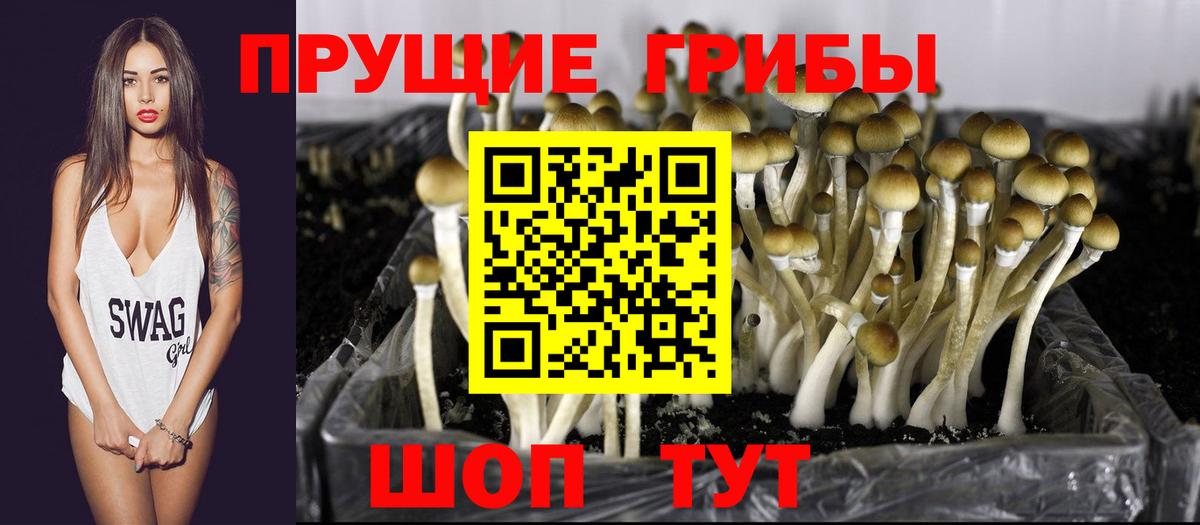 купить наркотики сайты  Галлюциногенные грибы ЛСД  Вход с VPN  Галлюциногенные грибы Psilocybe  Соликамск 
