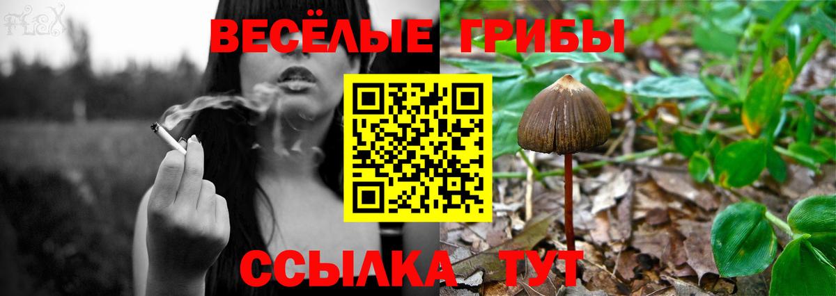 Псилоцибиновые грибы мухоморы Соликамск